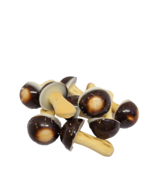 a09b5109043fddac7a3344025791ba84